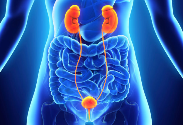 Renal Diseases | GK Hospital